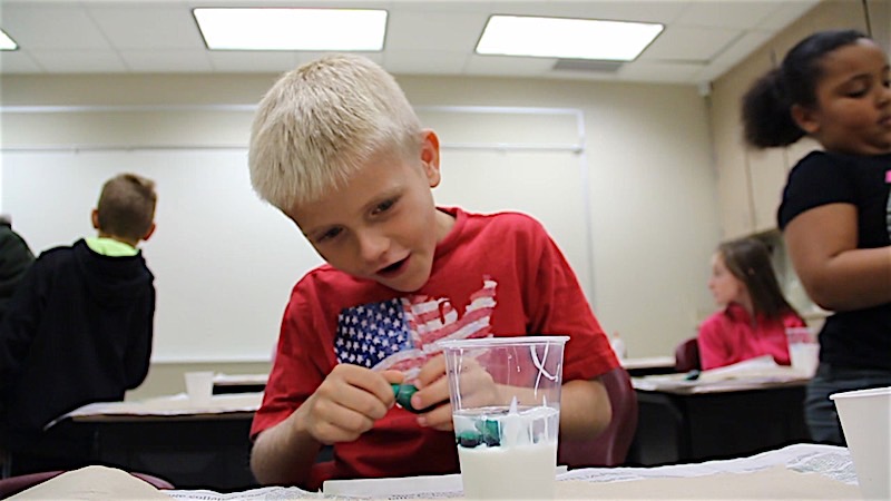 Science in the Elementary Classroom